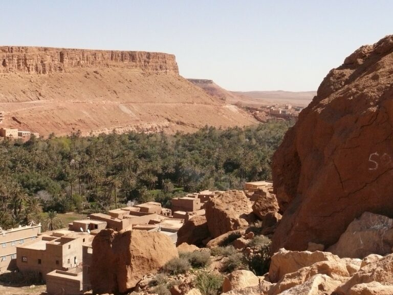 morocco, desert, oasis-336147.jpg