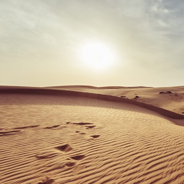 arid, barren, desert-1866541.jpg