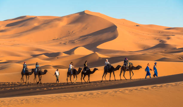 discover the Sahara desert