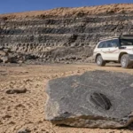 Erfoud Fossils Ultimate Guide tips for inspecting specimens at a local Moroccan workshop