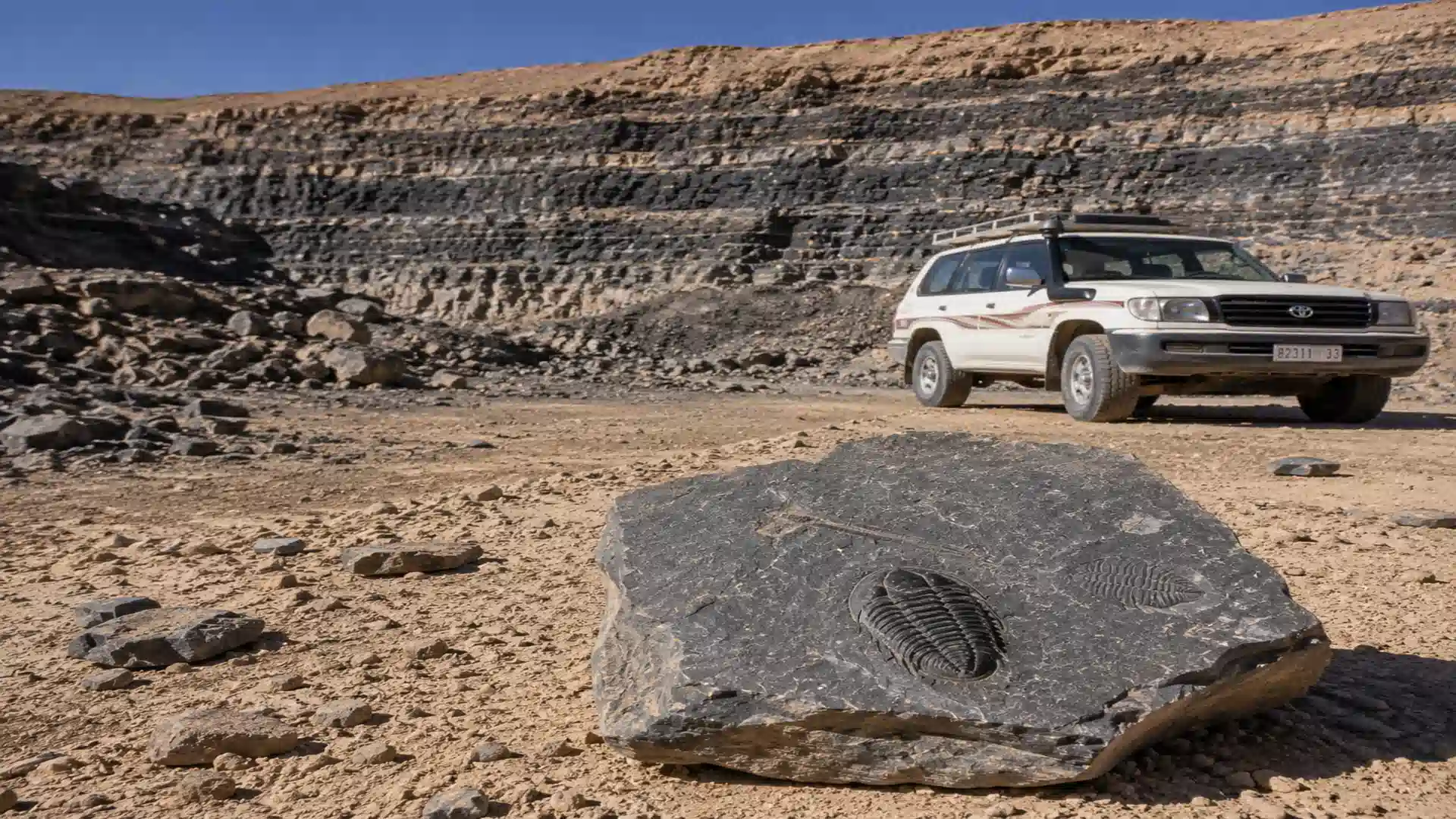 Erfoud Fossils Ultimate Guide tips for inspecting specimens at a local Moroccan workshop