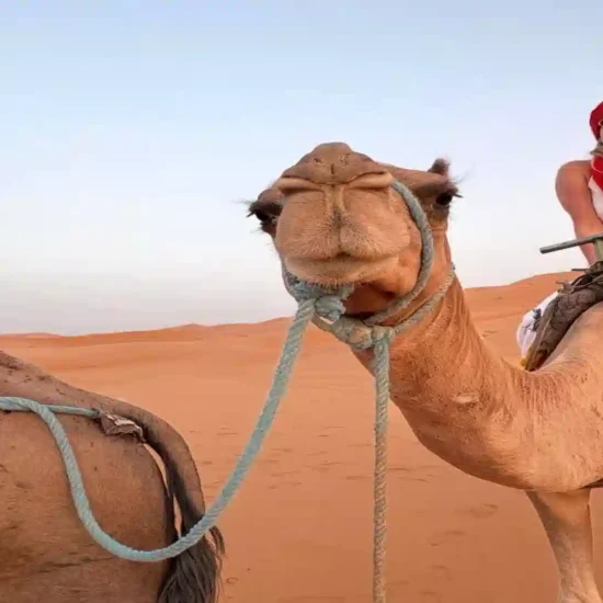 Marrakech to Fes 3 Days, Marrakech to Fes via desert 3 day desert tour Morocco Marrakech to Fes itinerary Marrakech to Merzouga to Fes Ait Benhaddou tour from Marrakech Todra Gorge itinerary