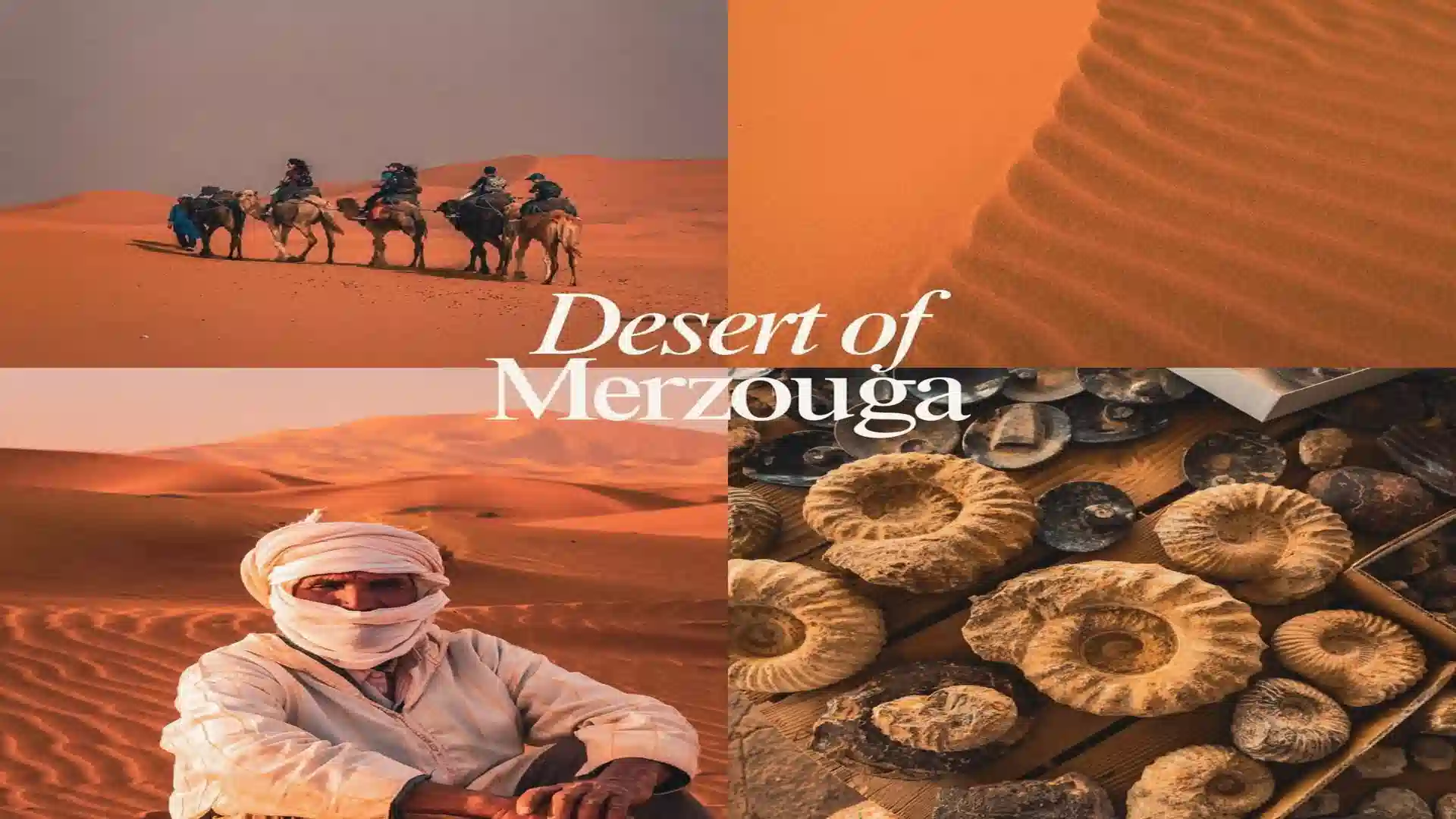 A four-picture travel collage showing camel trekking, sand dune textures, a Berber guide, and local fossil finds with overlay text reading Desert of Merzouga Morocco.