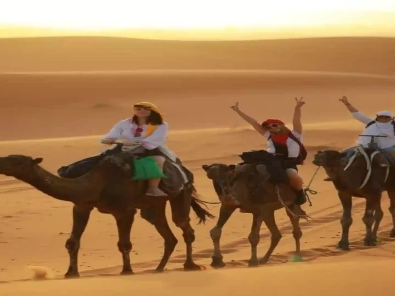 Three happy women wearing headscarves riding camels in a line across golden sand dunes during a desert sunset in Erg Chebbi, Morocco.1 week in Morocco