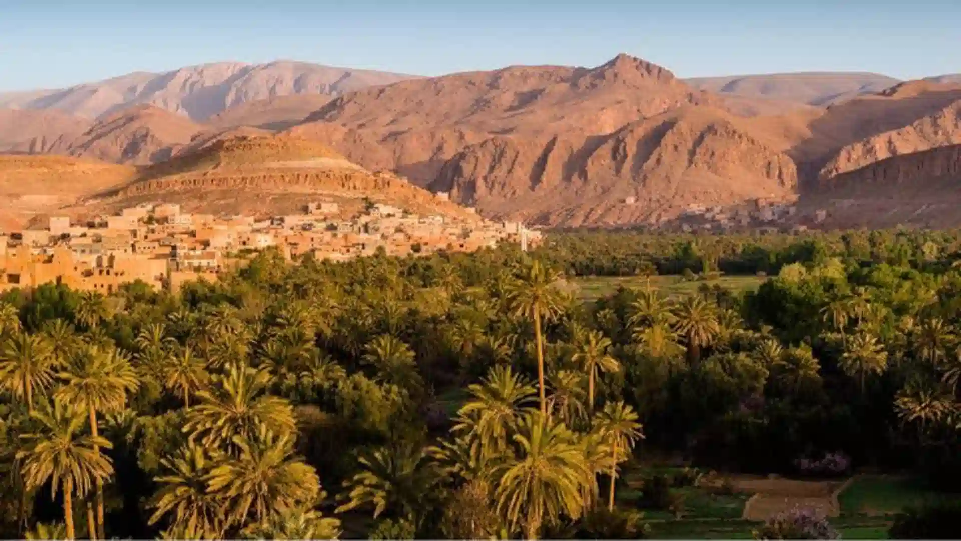 Panoramic aerial view of a dense palm grove next to a traditional Berber village nestled against rugged mountains in the biggest oasis in Morocco.